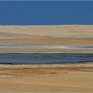 Serie Paracas